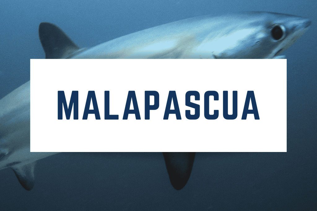 Malapascua Island, Philippines